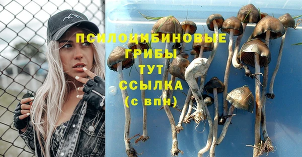 a pvp Ступино