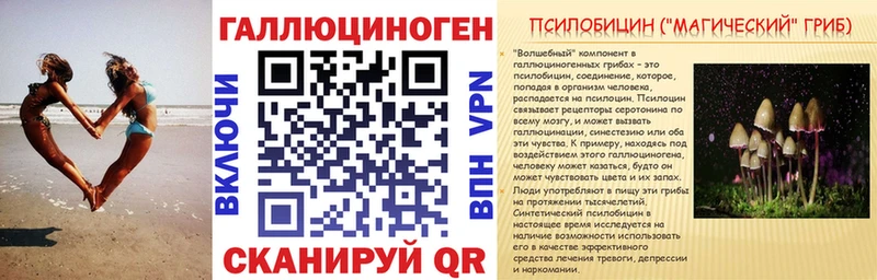 mega сайт  Алейск  Псилоцибиновые грибы мицелий 