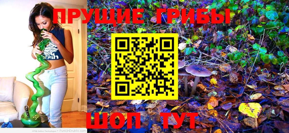 Алейск  Галлюциногенные грибы мицелий  Вход с VPN 