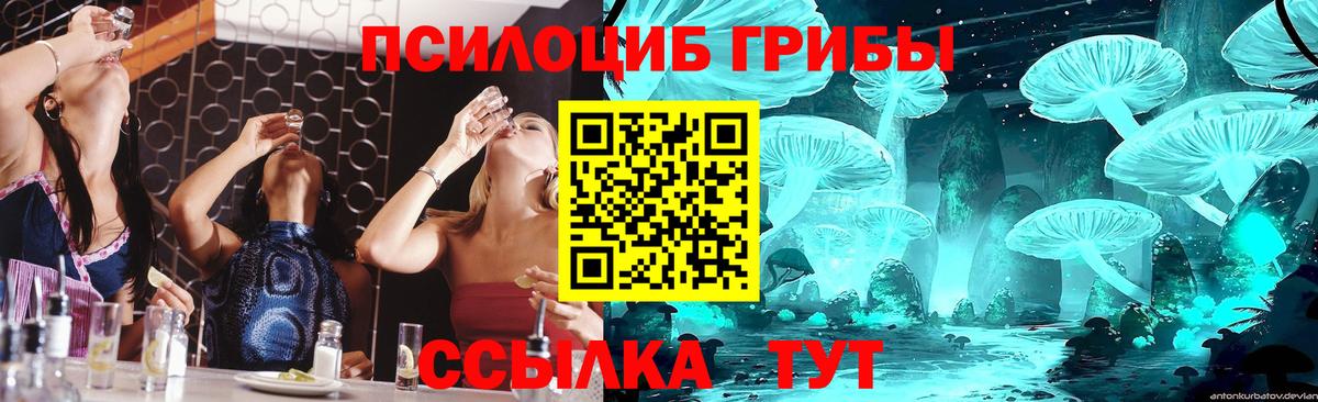 Галлюциногенные грибы ЛСД Алейск