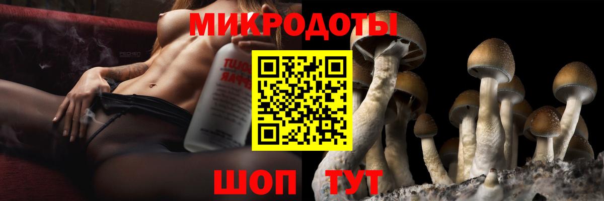 Галлюциногенные грибы ЛСД Алейск